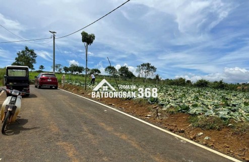 [HOT] Duy nhất còn 1 lô tại NaLi Chill - Homestay and BBQ giá bán chỉ 850TR